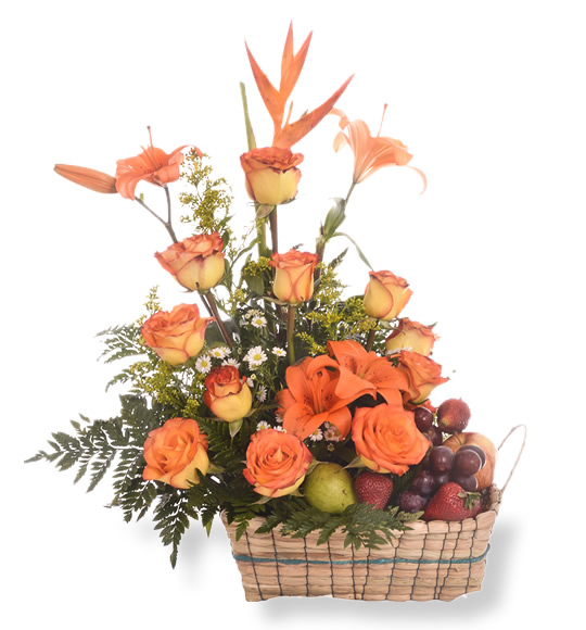 Base fruit basket