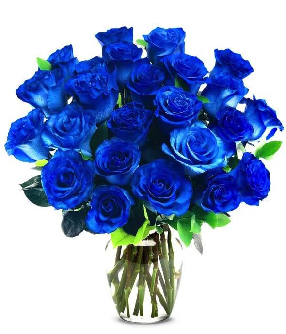 Blue Roses