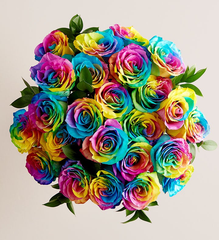 Kaleidoscope Roses