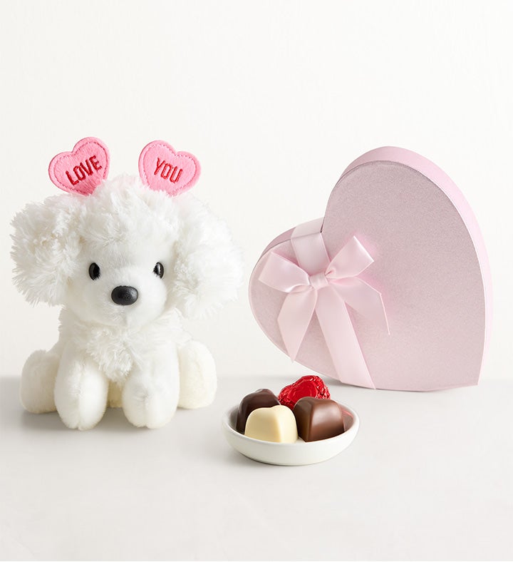 Cachorro amor y Chocolates