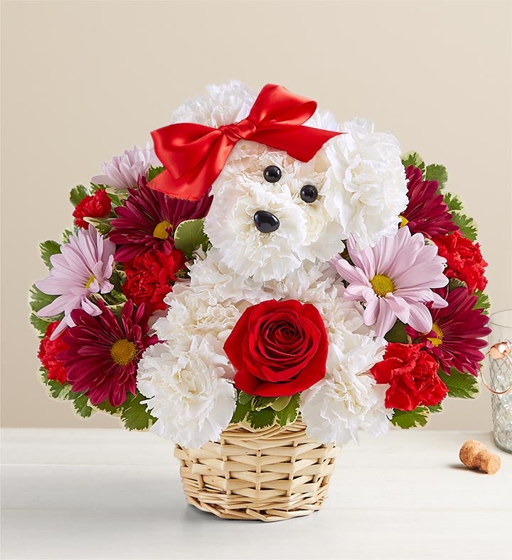Cachorro de Amor