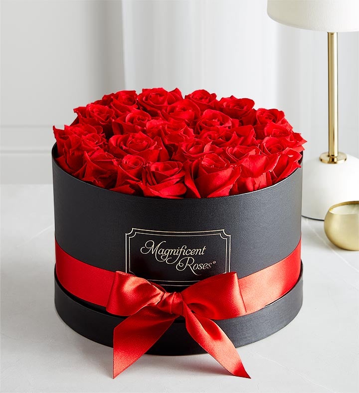 Rosas Magníficas  Preservadas