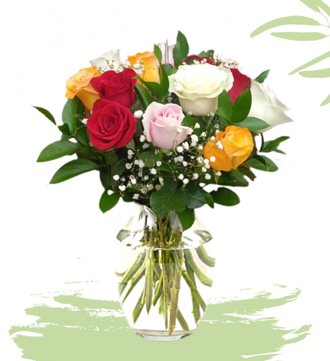 Rosas Multicolor