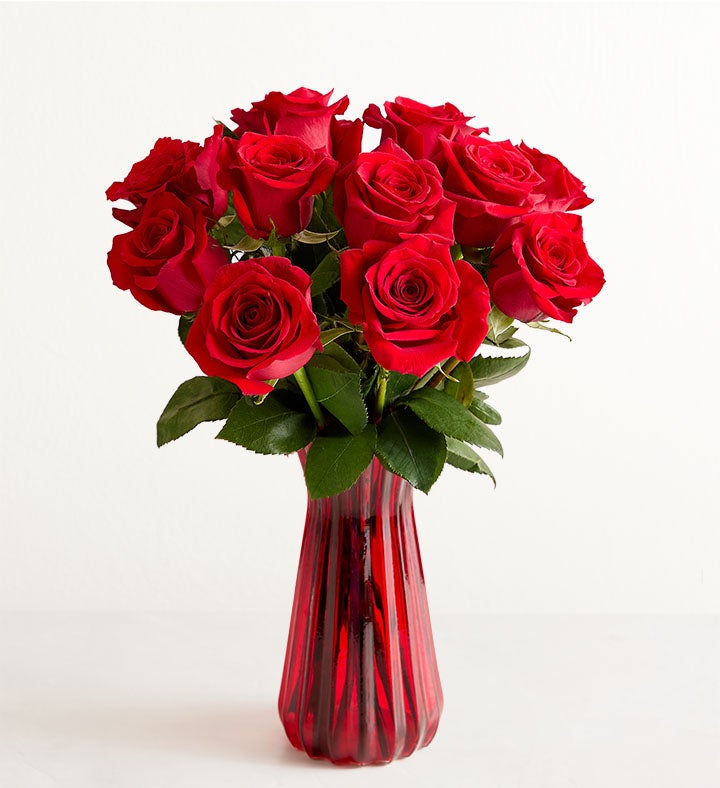 One Dozen Red Roses