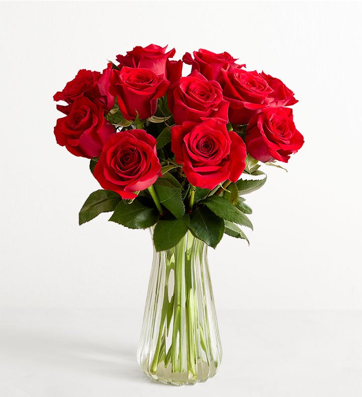 One Dozen Red Roses