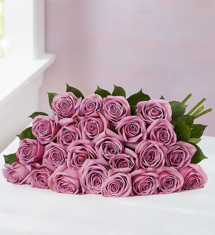 Rosas Pasion Purpura