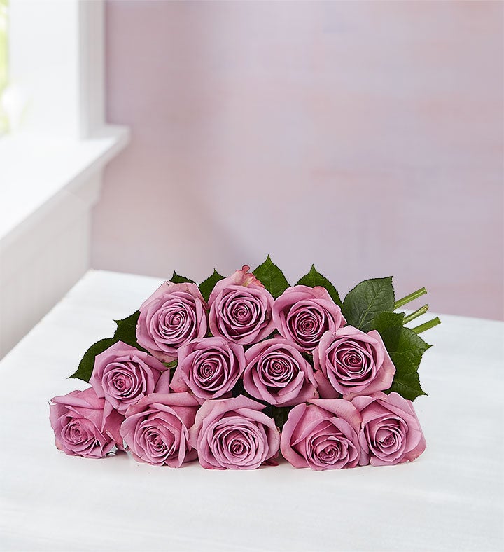 Passion for Purple Roses
