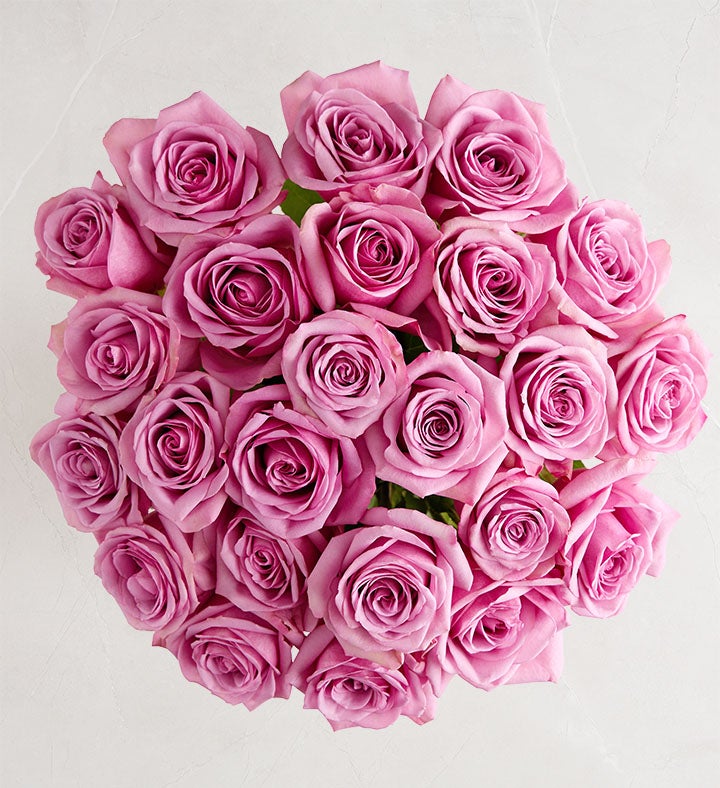 Passion For Purple Roses