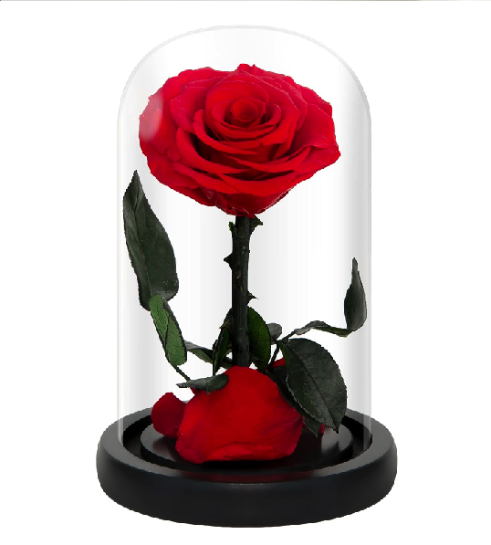 Preserved Roses Yellow