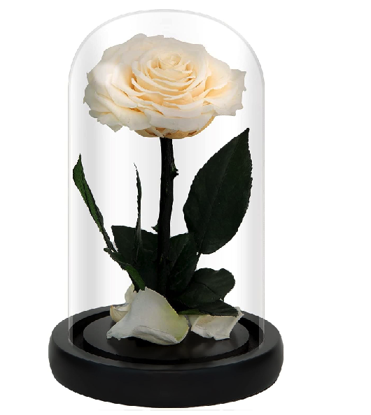 Preserved Roses Yellow