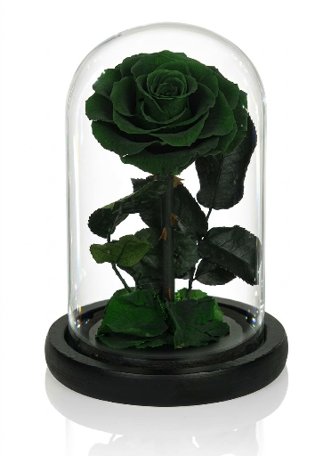 Preserved Roses Yellow