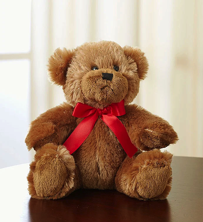 Teddy small