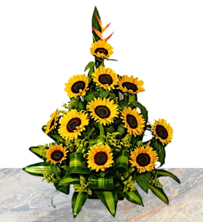 Tropical Sunflowers