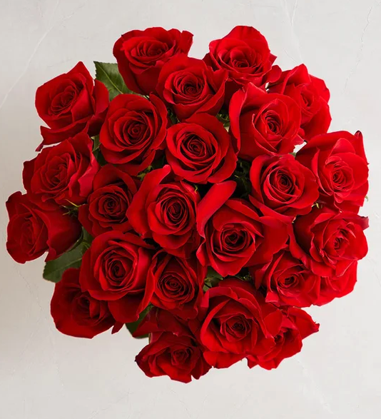 Two Dozen Red Roses