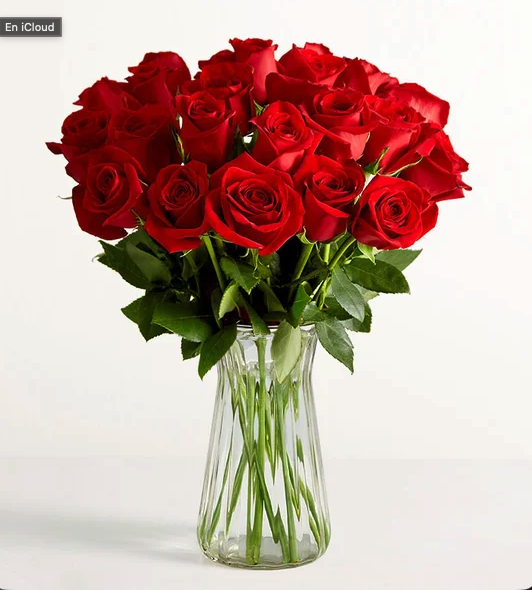Two Dozen Red Roses