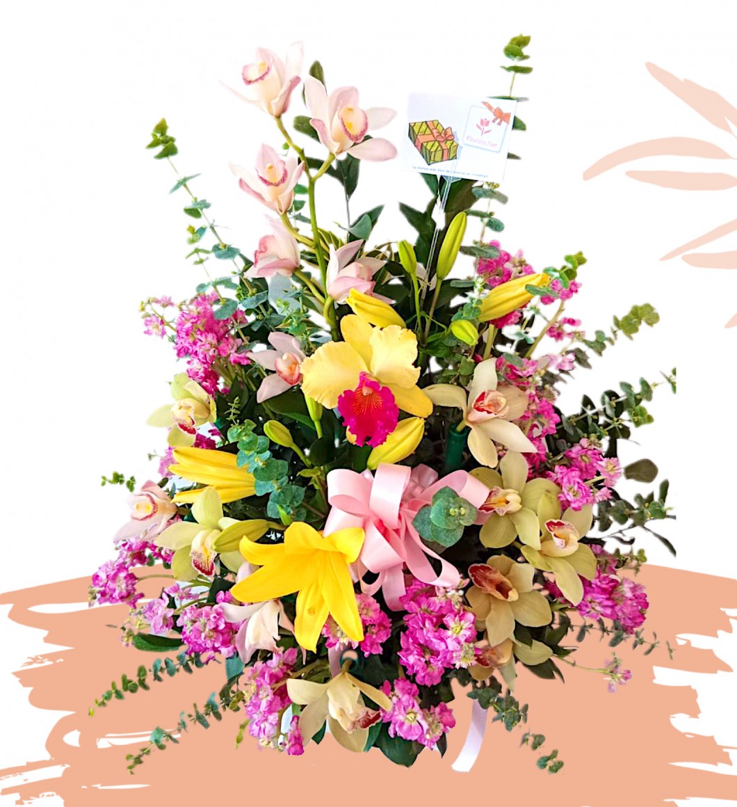 Variety in Orchids