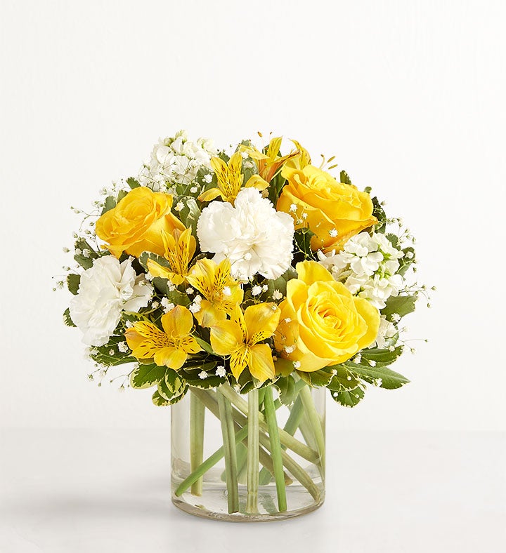 Delicado con Amarillo y blanco