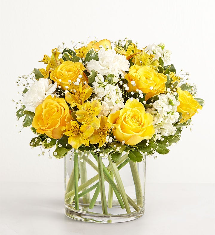 Delicado con Amarillo y blanco