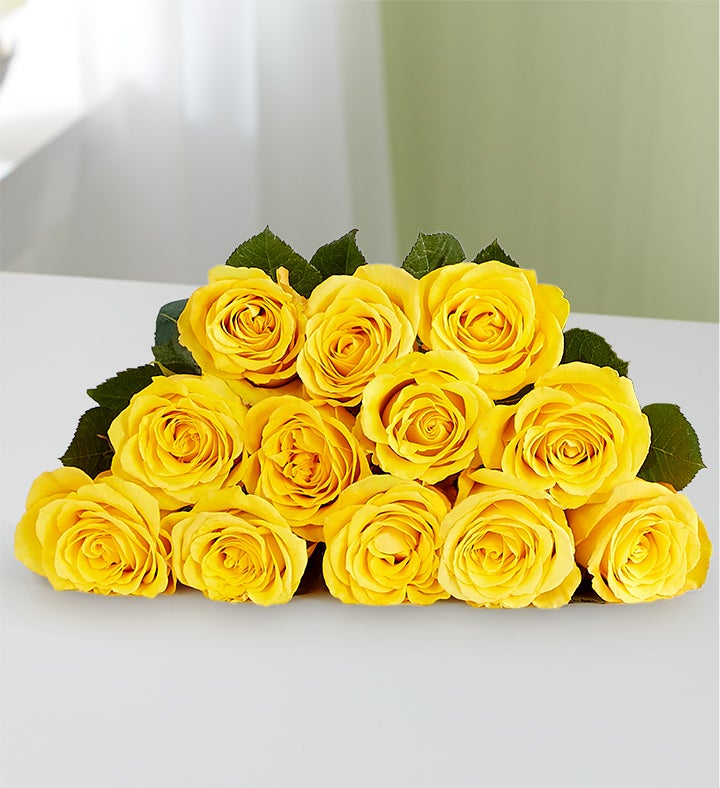 Yellow Roses, 12-24 Stems