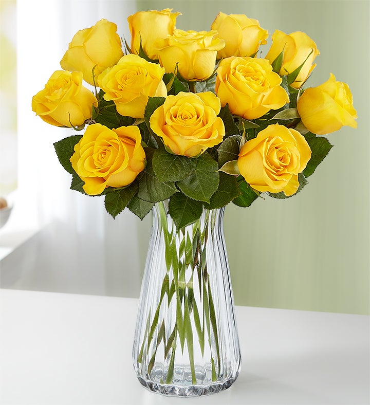 Yellow Roses, 12-24 Stems