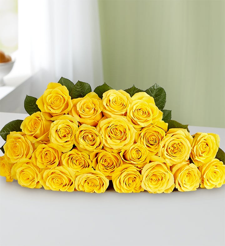 Yellow Roses, 12-24 Stems
