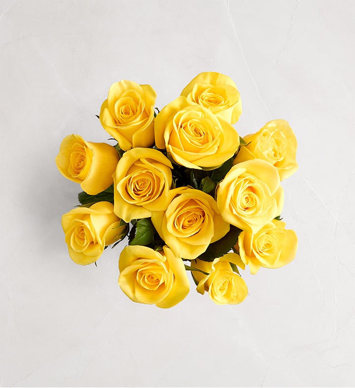 Yellow Roses