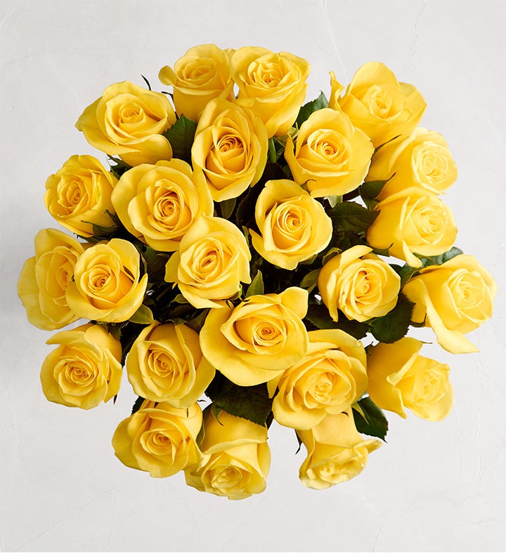 Yellow Roses